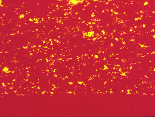 Thermal Spray Coatings