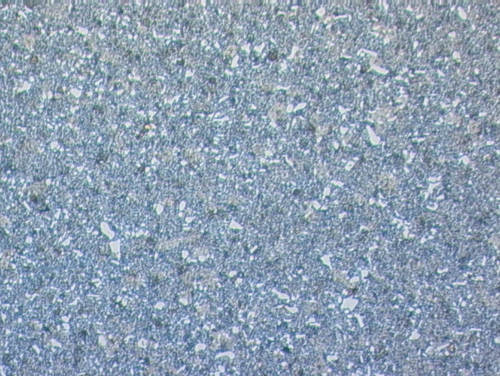 Tool steel