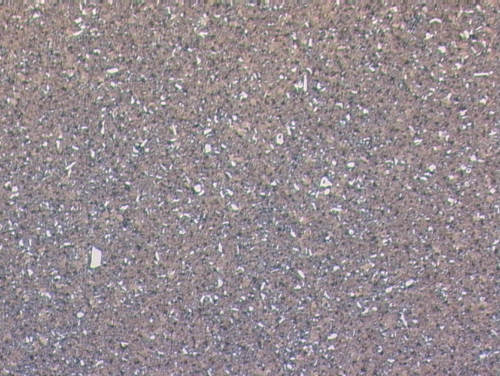 Tool steel